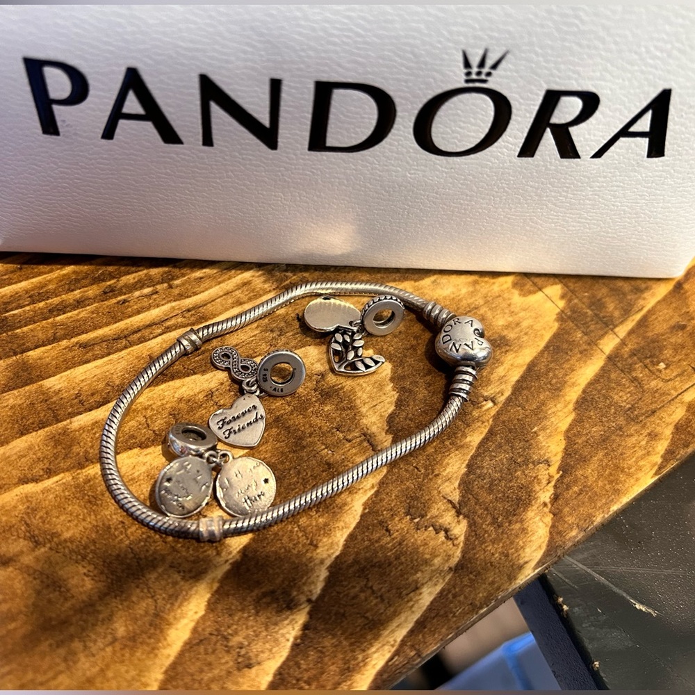 Pandora snake charm bracelet and charms 925 sterling silver authentic ALE